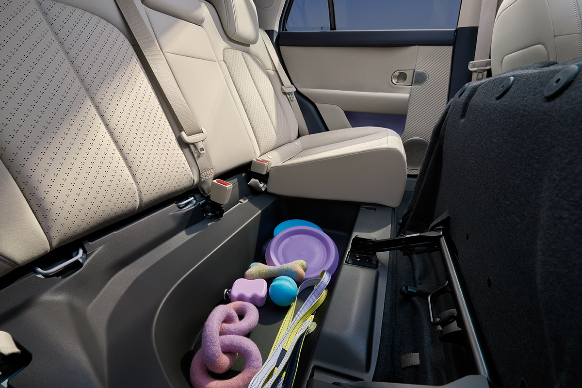 firefly-storage-backseat