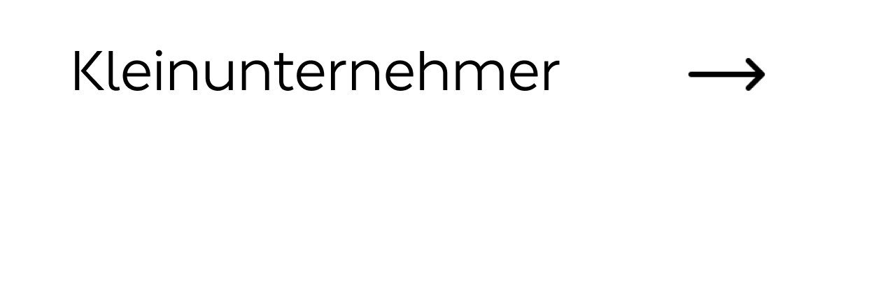 Kleinunternehmer